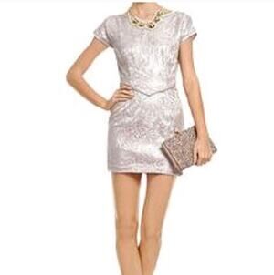 Radenroro New York Champagne Blush Pink Metallic Lace Gauze Sheath Dress 4 S